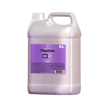 Carregar imagem no visualizador da galeria, OX VOLUME 40 AMETISTA PLATINADO CAPILAR ESSÊNCIA 5L